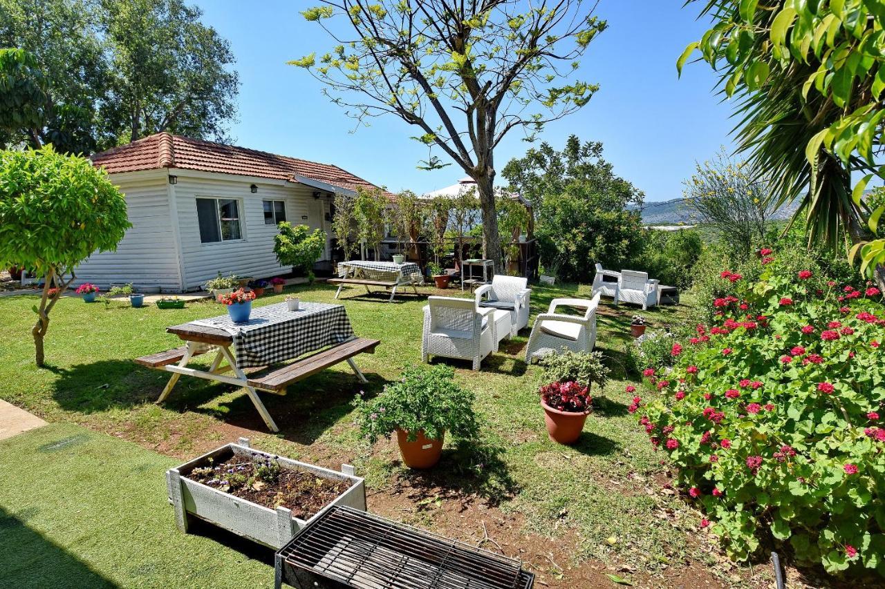 Biktot Nofim Villa Manot Ngoại thất bức ảnh